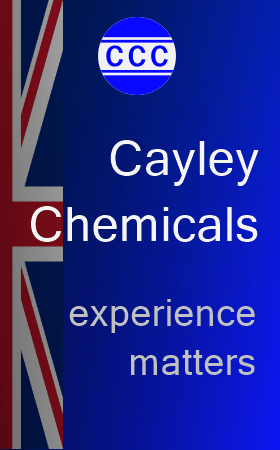 Cayley Experience Matters